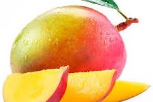 mango-1